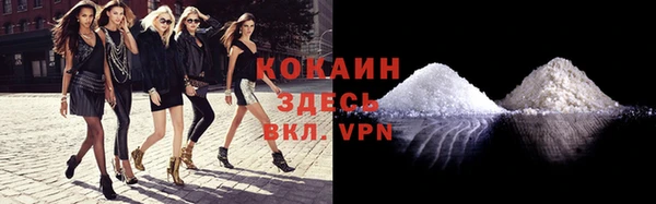 крисы Беломорск