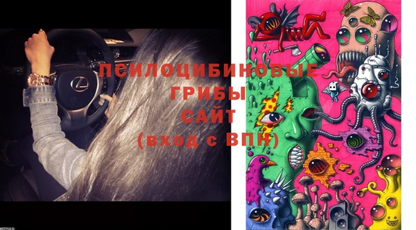 марки lsd Богданович