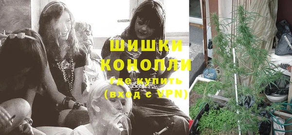крисы Беломорск