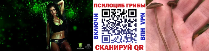 Псилоцибиновые грибы GOLDEN TEACHER  Богородицк 
